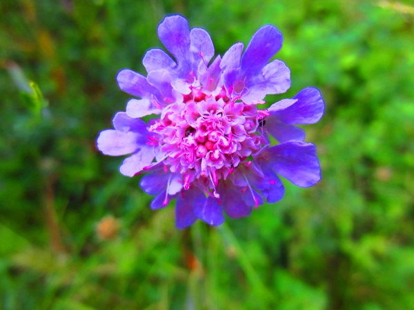 IMG_1676.JPG