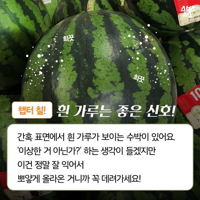 Subak-03.jpg