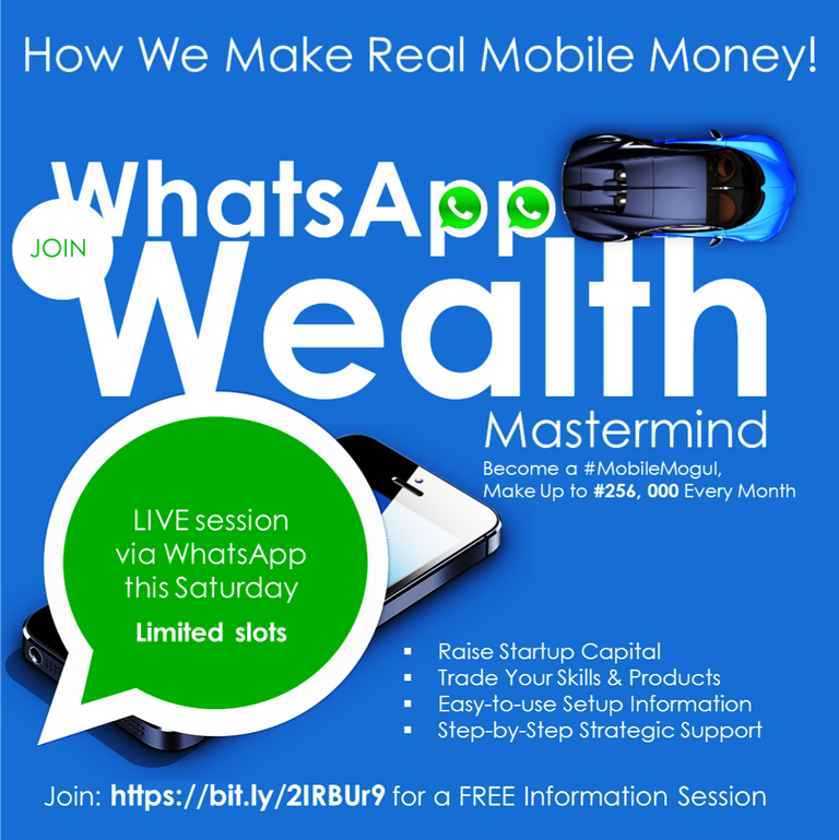 WhatsAppWealth DP.png