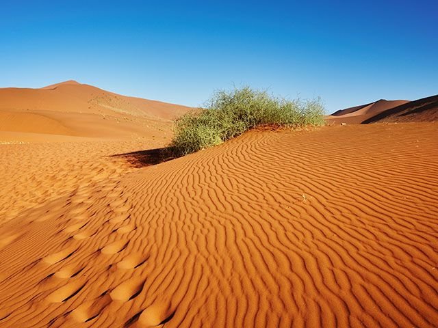 deserto-sahara.jpg