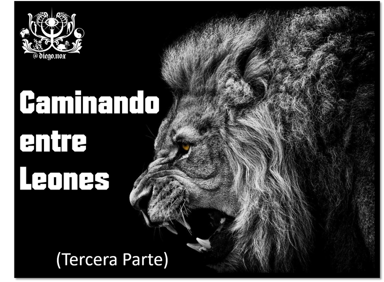 Portada, entre leones 3.png