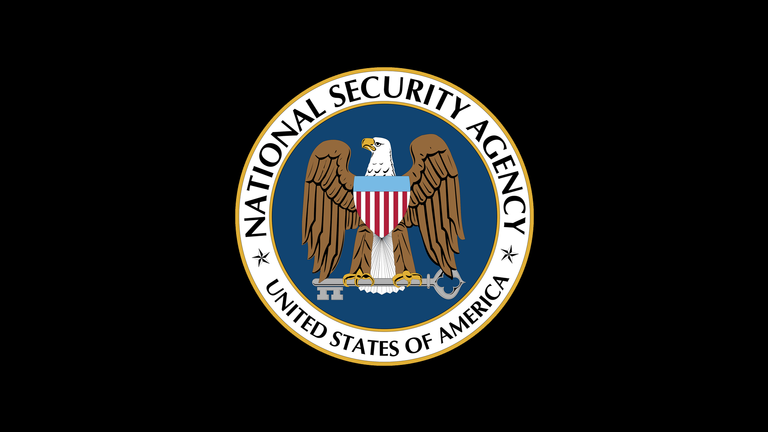 nsa_logo_wallpaper_by_mongoooo-d7ap02t.png