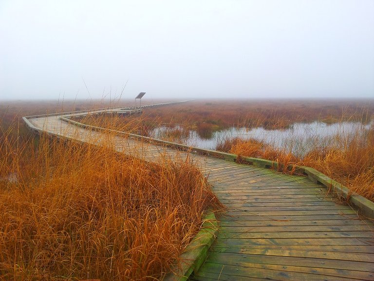 Boardwalk.jpg