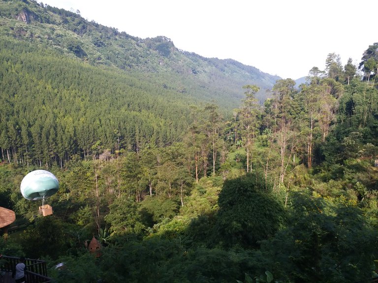 20180428_080450.jpg