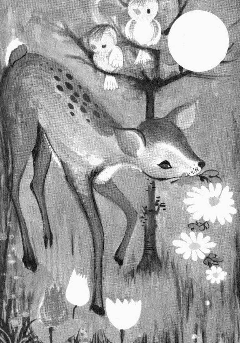 fawn grey scale.jpg