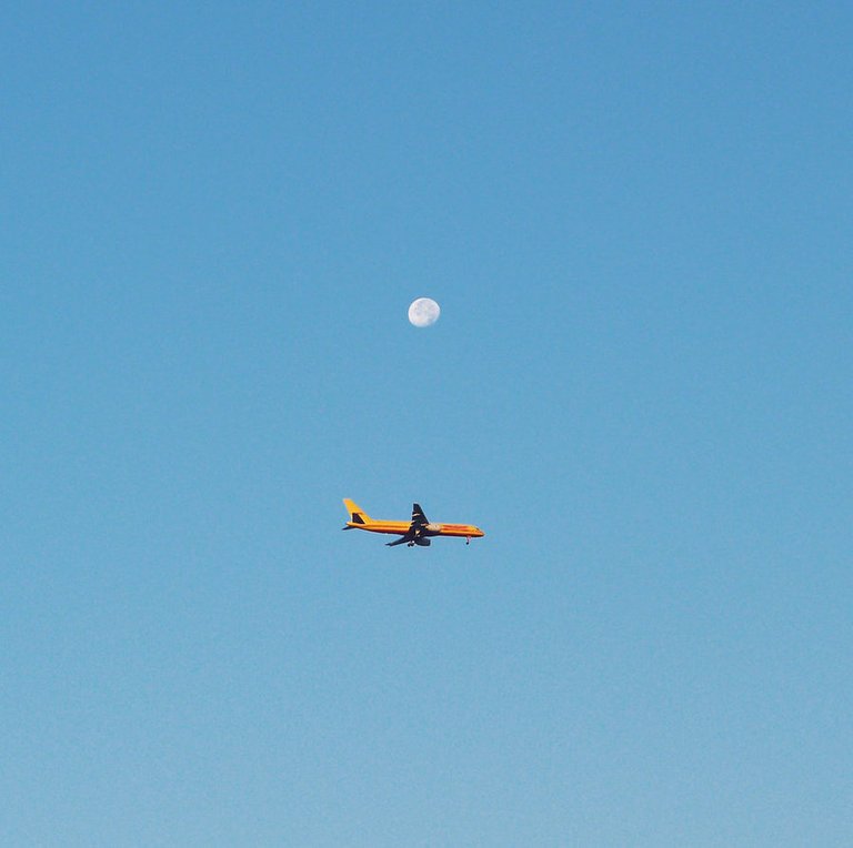 flying_under_the_moon_by_anapmc-d4cwihq.jpg