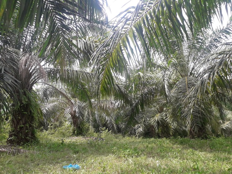 20190630_112156.jpg