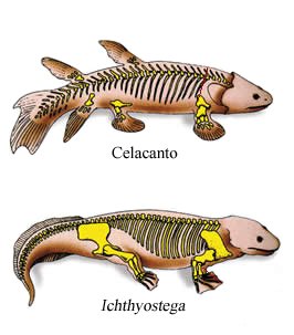 Imagen-comparativa.jpg