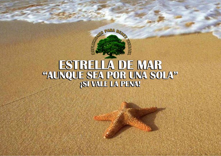 ESTRELLA DE MAR AUNQUE SEA UNA VALE LA PENA REFLEXIONES BENEY YISRAEL.jpg