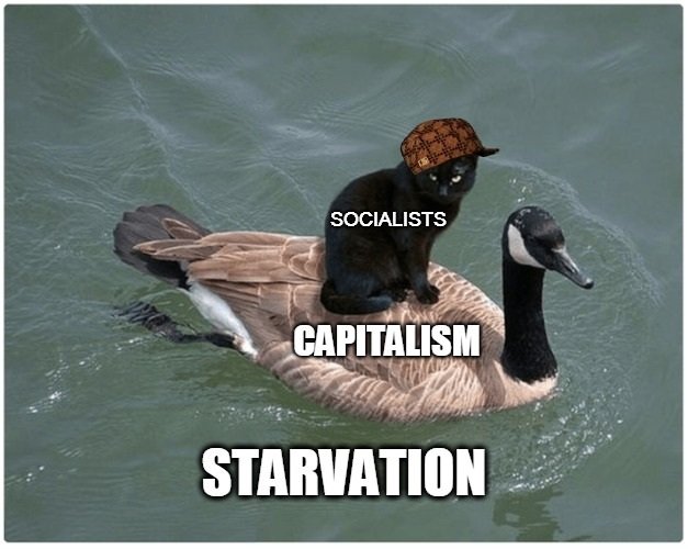 E_Socialism.png