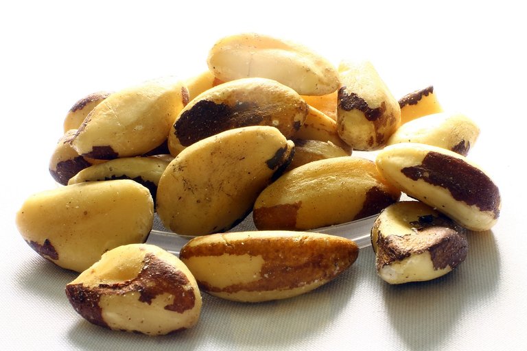 brazil-nut-638972_1280.jpg