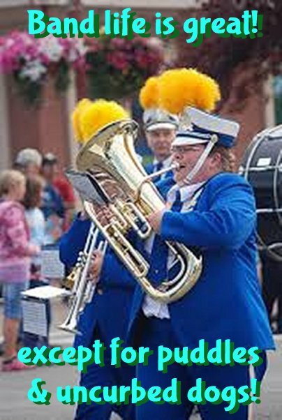 tubaday_music_life.jpg