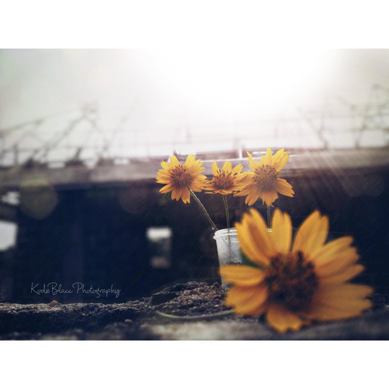 PicsArt_08-01-03.14.32.jpg