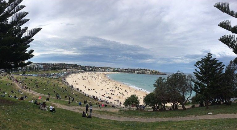 BONDI.jpg