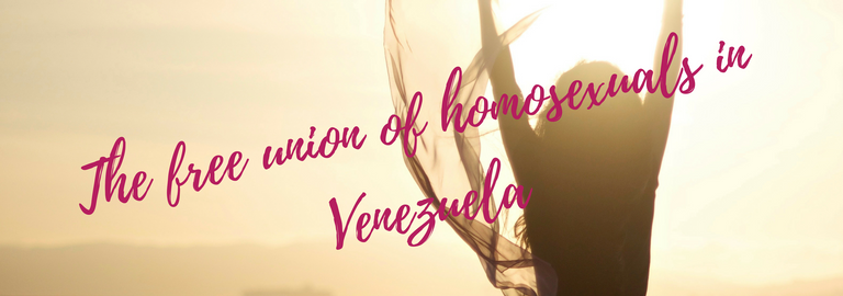 The free union of homosexuals in Venezuela.png