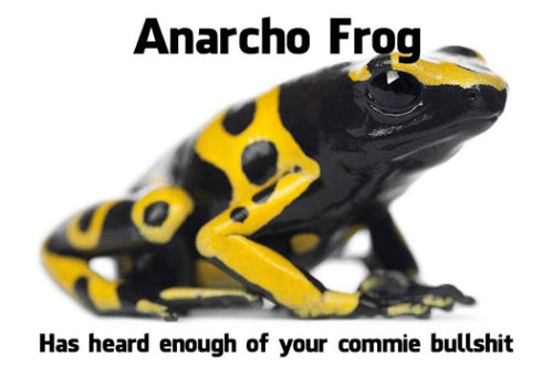anarchofrog.png