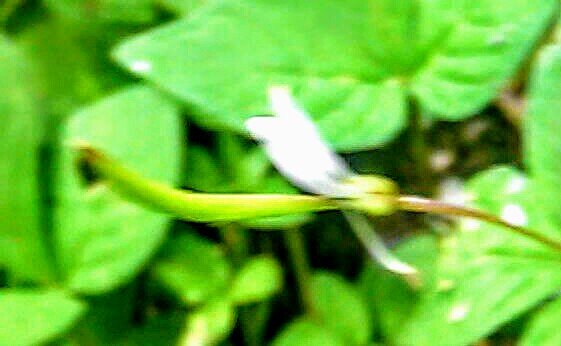 P_20180930_121909_1_p~2.jpg