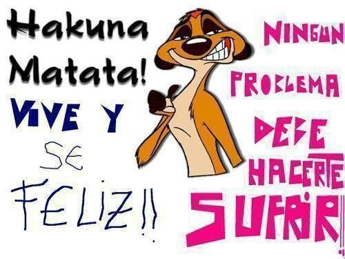 56bb5a66ce60dc51e9a984f9edfc4173--hakuna-matata.jpg