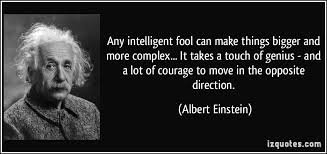 albert einstein a touch of genius.jpg