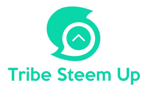 Tribe Steem Up 2.jpg