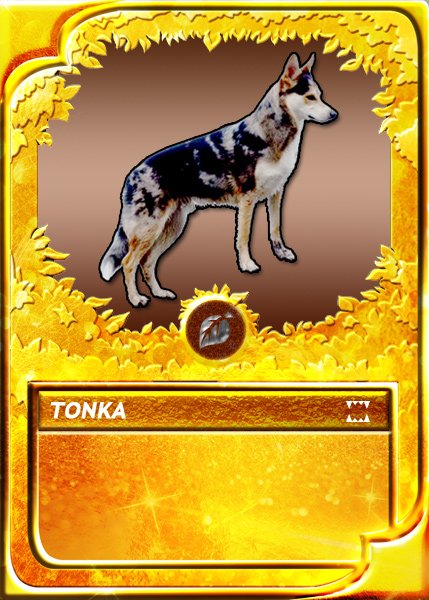 steemmonsters-tonka.jpg