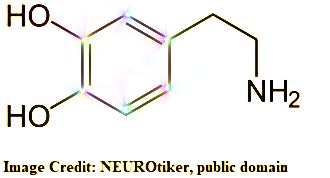 dopamine formula3.jpg