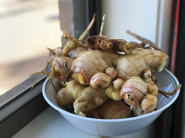 A bowl of homegrown ginger