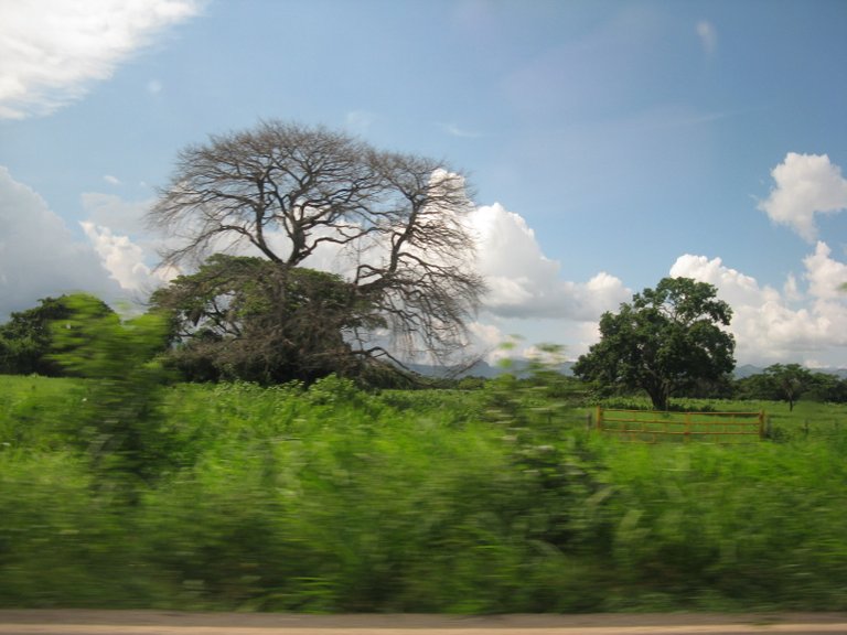 VIAJE ALTAGRACIA DE ORITUCO AGO09 105.jpg