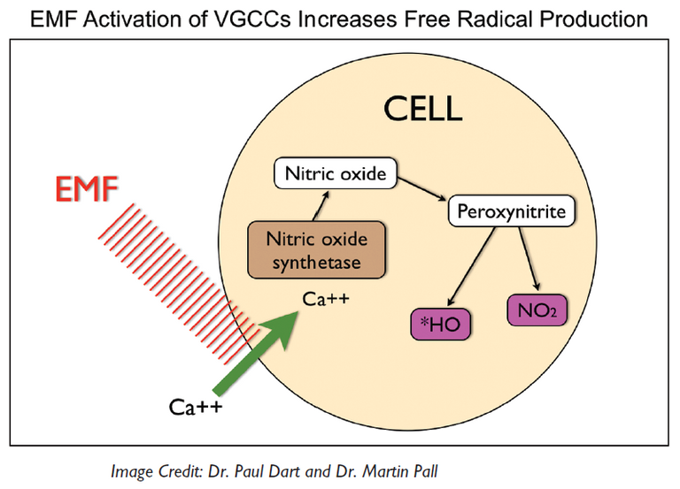 VGCC-Chart-by-Dr-Pall-and-Article-version.png