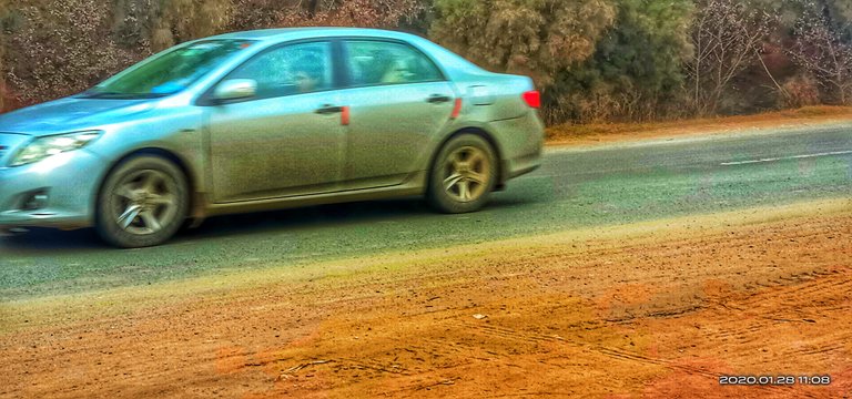 IMG_20200128_110846-01.jpeg