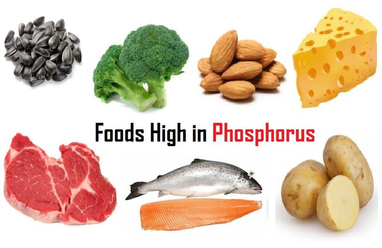 Foods-high-in-Phosphorus.jpg