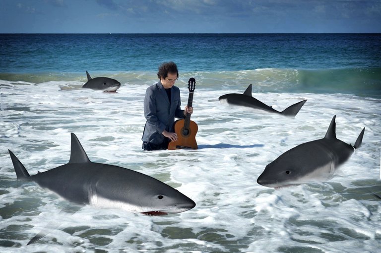 SHARK SERENADE.jpg