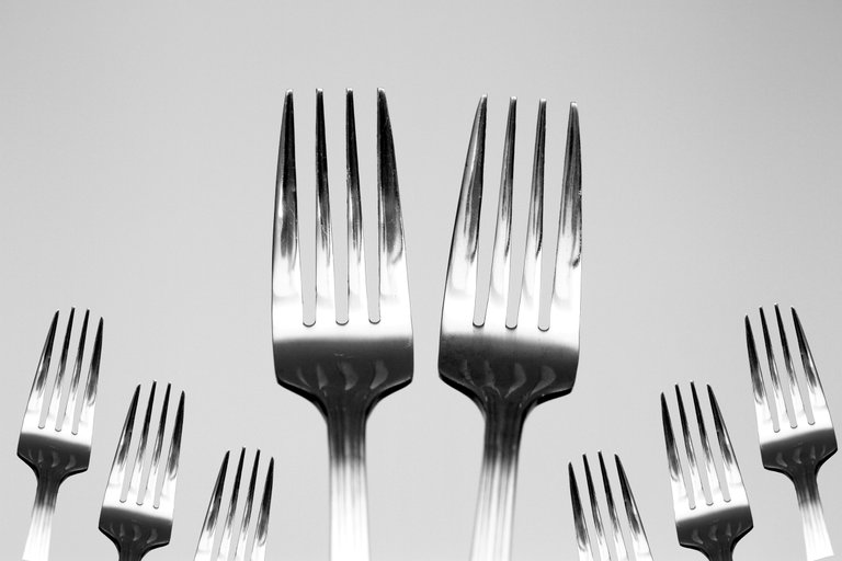 fork-973901.jpg