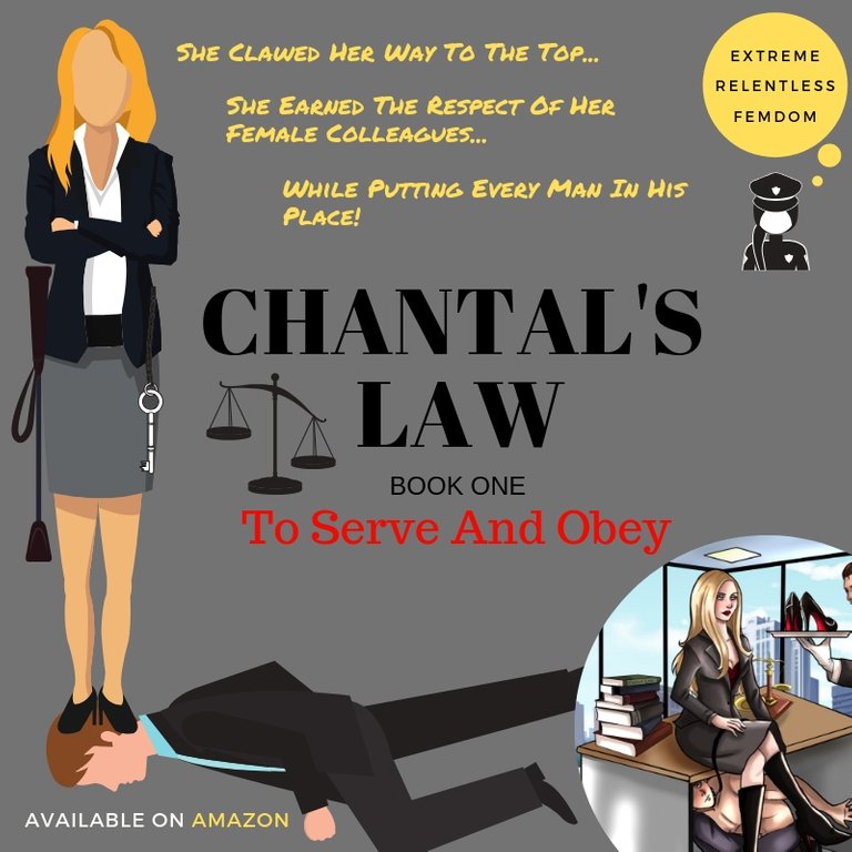 Chantal's Law_ BOOK 1 PROMO.jpg