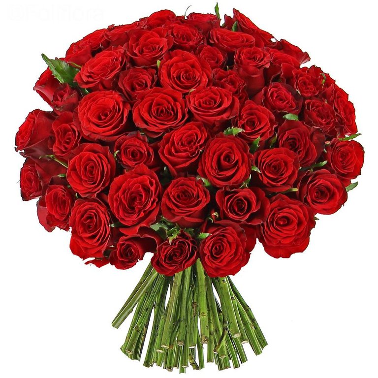 bouquet-roses-rouges.jpg