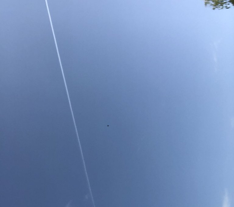 chemtrails (5).jpg