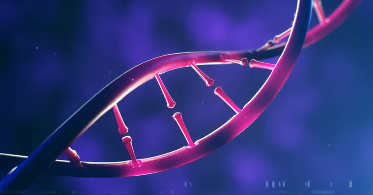 DNA_strand_fb.webp