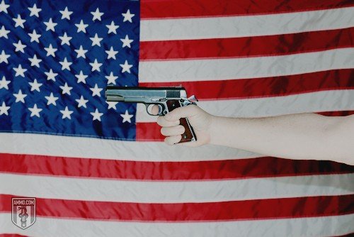 gun-ownership-in-america-1.jpg