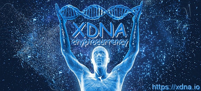 XDNA.jpg