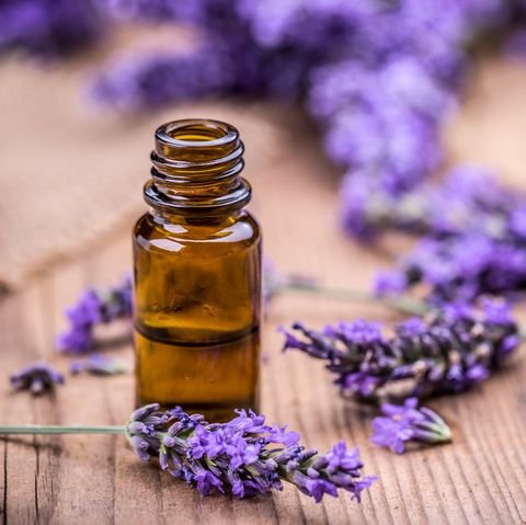 herbal-oil-and-lavender-flowers-royalty-free-image-585048326-1537540327.jpg