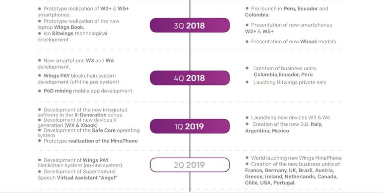 bitwingsroadmap1.jpg