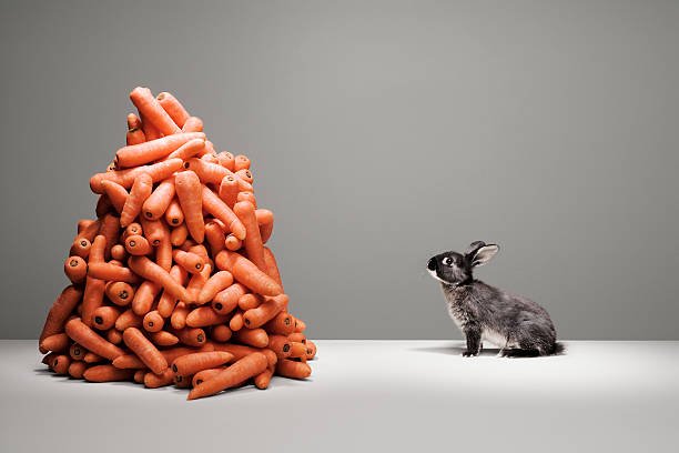 rabbit-looking-at-pile-of-carrots-picture-id82126955.jpg