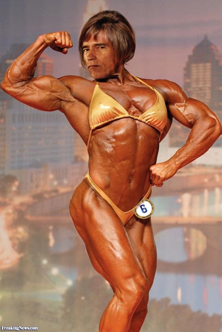 Arnold-Schwarzenegger-the-Woman-Bodybuilder-91384.jpg