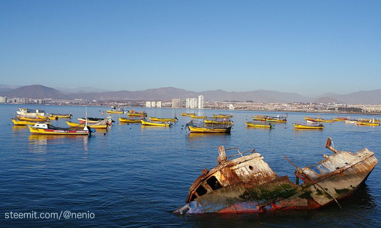 coquimbo-caleta-01.jpg