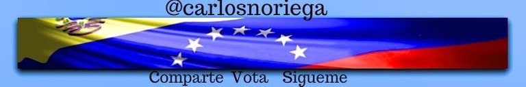 banner_venezuela (2).jpg