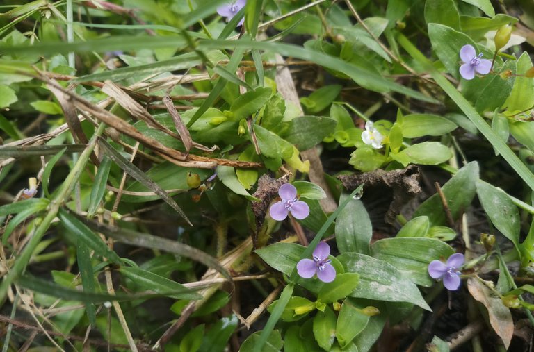 20201003_192107.jpg