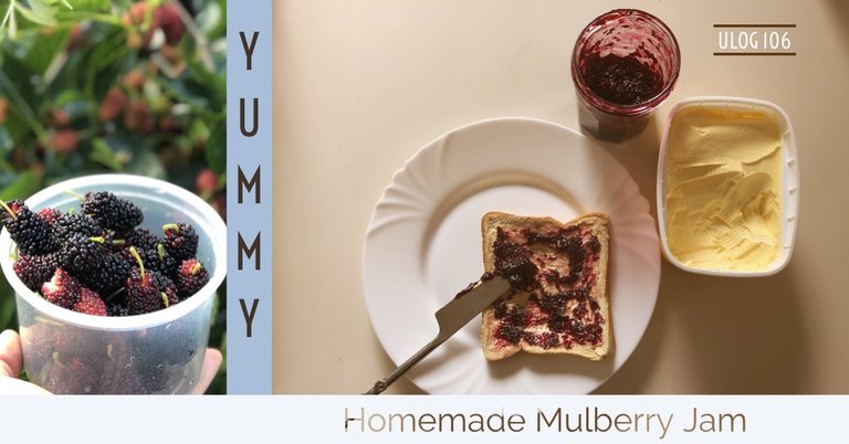ULOG 106 - Homemade Mulberry Jam from homegrown trees