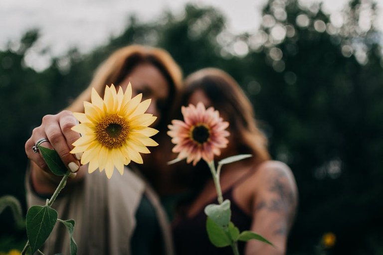 pexels-photo-1366618.jpg