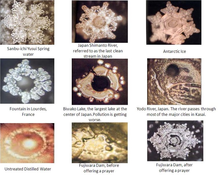 masuru-emoto-water-crystals.jpeg