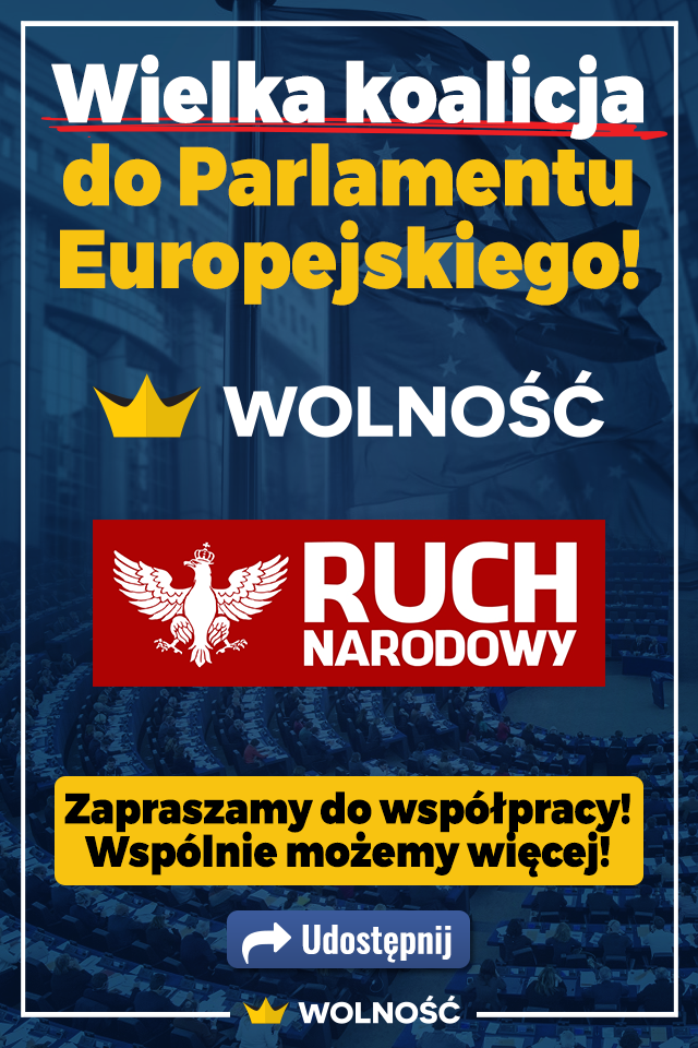 RUCH NARODOWY WOLNOŚĆ.png